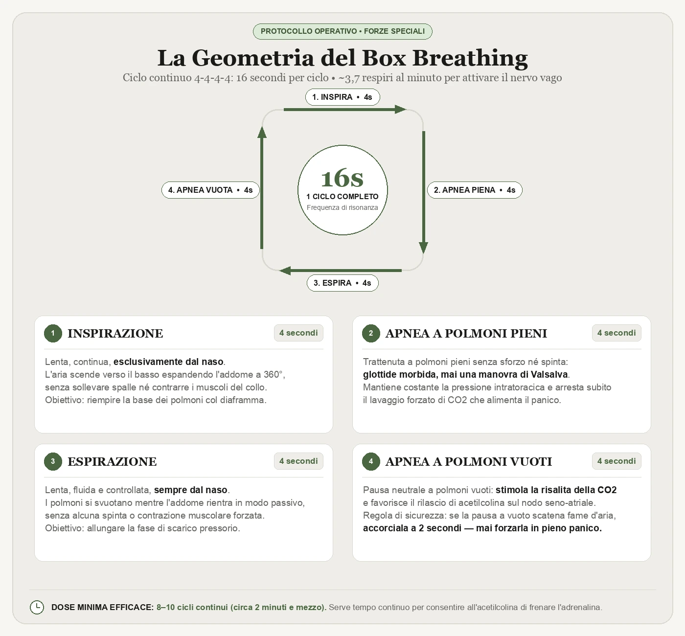 Infografica La Geometria del Box Breathing: Protocollo Operativo 4-4-4-4